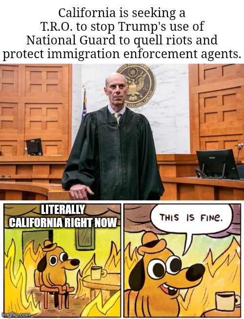 burn baby burn | California is seeking a T.R.O. to stop Trump's use of National Guard to quell riots and protect immigration enforcement agents. LITERALLY CALIFORNIA RIGHT NOW | image tagged in corrupt federal judge,memes,this is fine | made w/ Imgflip meme maker