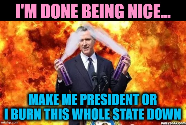 I'M DONE BEING NICE... MAKE ME PRESIDENT OR I BURN THIS WHOLE STATE DOWN | image tagged in newsom,la,riots,wildfires,president | made w/ Imgflip meme maker