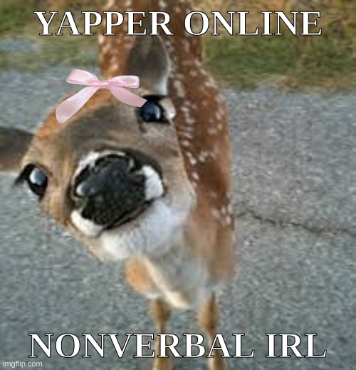 ashercore: | YAPPER ONLINE; NONVERBAL IRL | image tagged in ashercore | made w/ Imgflip meme maker