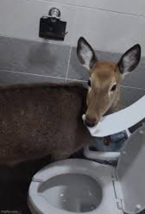 had to be weird in the mcdonald's bathroom :fire: | image tagged in mecore | made w/ Imgflip meme maker