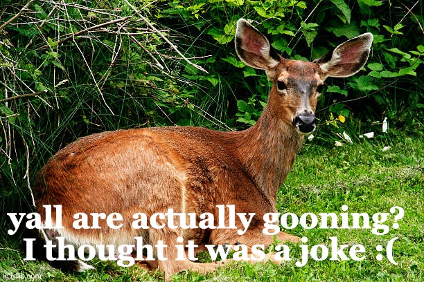 are we deadass </3 | yall are actually gooning? 

I thought it was a joke :( | made w/ Imgflip meme maker