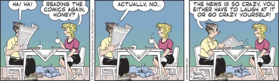 Blondie | image tagged in comics | made w/ Imgflip meme maker