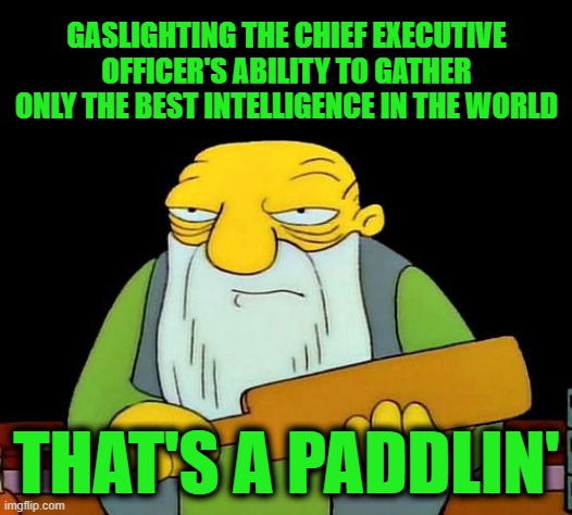 That's a paddlin' Meme | GASLIGHTING THE CHIEF EXECUTIVE OFFICER'S ABILITY TO GATHER ONLY THE BEST INTELLIGENCE IN THE WORLD THAT'S A PADDLIN' | image tagged in memes,that's a paddlin' | made w/ Imgflip meme maker
