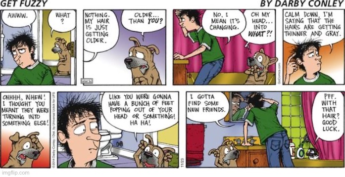 image tagged in comics,get fuzzy,cat and dog,gray hairs | made w/ Imgflip meme maker