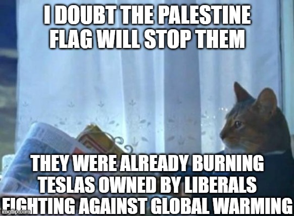 Cat newspaper | I DOUBT THE PALESTINE FLAG WILL STOP THEM THEY WERE ALREADY BURNING TESLAS OWNED BY LIBERALS FIGHTING AGAINST GLOBAL WARMING | image tagged in cat newspaper | made w/ Imgflip meme maker