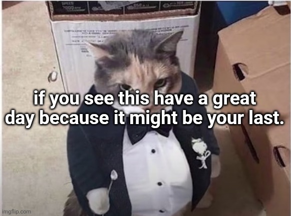 Fancy Cat | if you see this have a great day because it might be your last. | image tagged in fancy cat | made w/ Imgflip meme maker