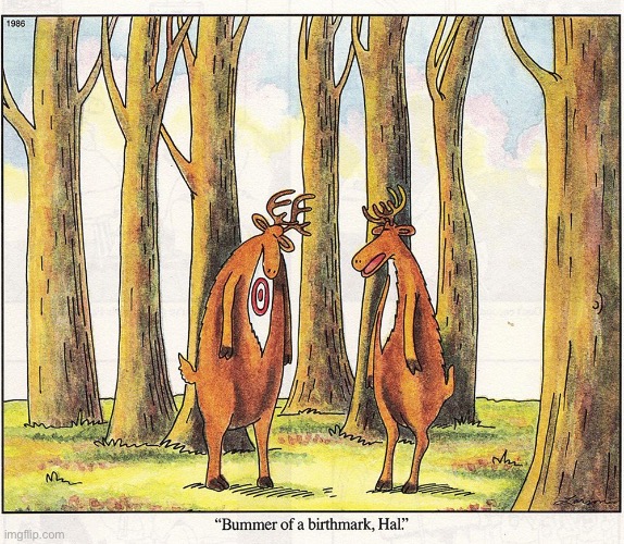 The Far Side | image tagged in comics,the far side,deer,birthmark,target | made w/ Imgflip meme maker