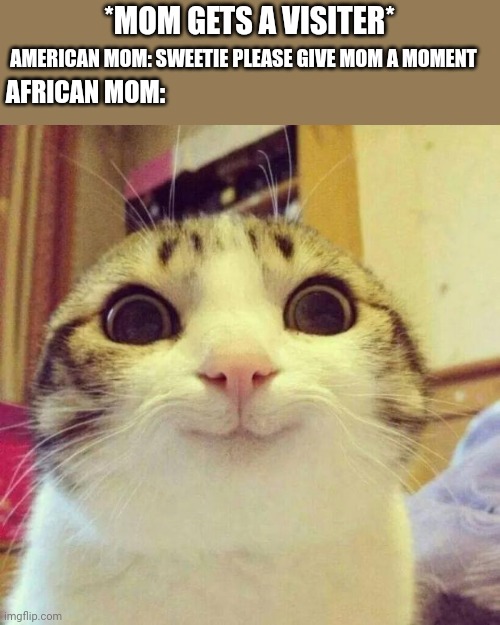 Smiling Cat | *MOM GETS A VISITER*; AMERICAN MOM: SWEETIE PLEASE GIVE MOM A MOMENT; AFRICAN MOM: | image tagged in memes,smiling cat | made w/ Imgflip meme maker