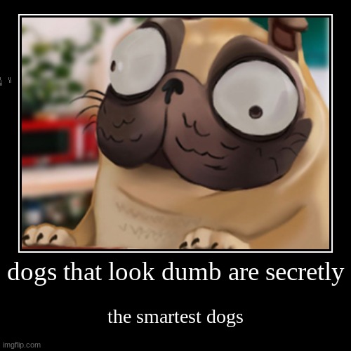 dogs that look dumb are secretly | the smartest dogs | image tagged in funny,demotivationals | made w/ Imgflip demotivational maker