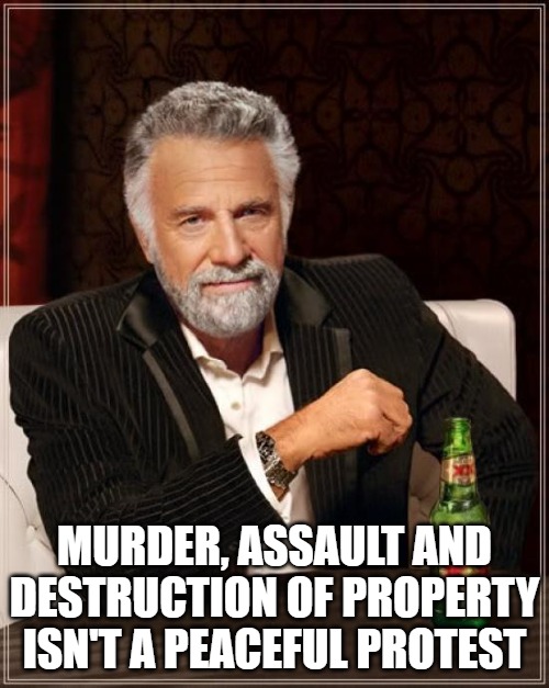 There are still those on the left who think this is somehow okay. | MURDER, ASSAULT AND DESTRUCTION OF PROPERTY ISN'T A PEACEFUL PROTEST | image tagged in memes,the most interesting man in the world,la riots,illegal aliens | made w/ Imgflip meme maker
