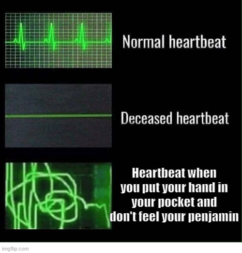Penjamin Panik Attack | Heartbeat when you put your hand in your pocket and don't feel your penjamin | image tagged in normal heartbeat deceased heartbeat,dank memes,high af,heart beating faster,my heart,heart attack | made w/ Imgflip meme maker