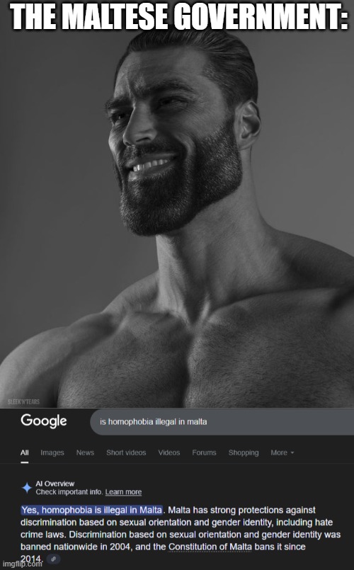 THE MALTESE GOVERNMENT: | image tagged in giga chad,malta,lgbtq,homophobic | made w/ Imgflip meme maker