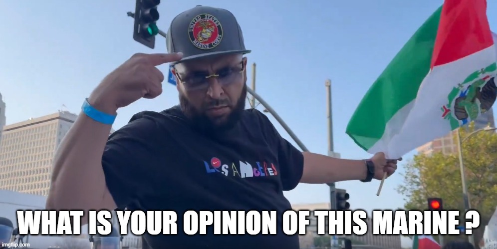 What is your opinion of this Marine? | WHAT IS YOUR OPINION OF THIS MARINE ? | image tagged in marines,marine corps,semper fi | made w/ Imgflip meme maker