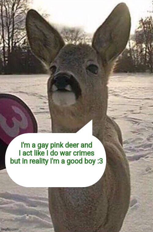 deer yap session | I'm a gay pink deer and I act like I do war crimes but in reality I'm a good boy :3 | image tagged in deer yap session | made w/ Imgflip meme maker