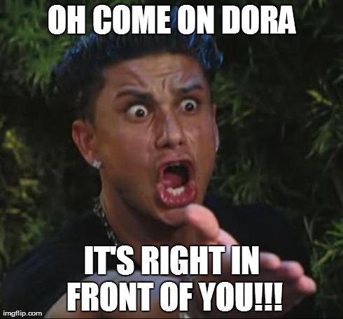 DJ Pauly D | OH COME ON DORA IT'S RIGHT IN FRONT OF YOU!!! | image tagged in memes,dj pauly d | made w/ Imgflip meme maker