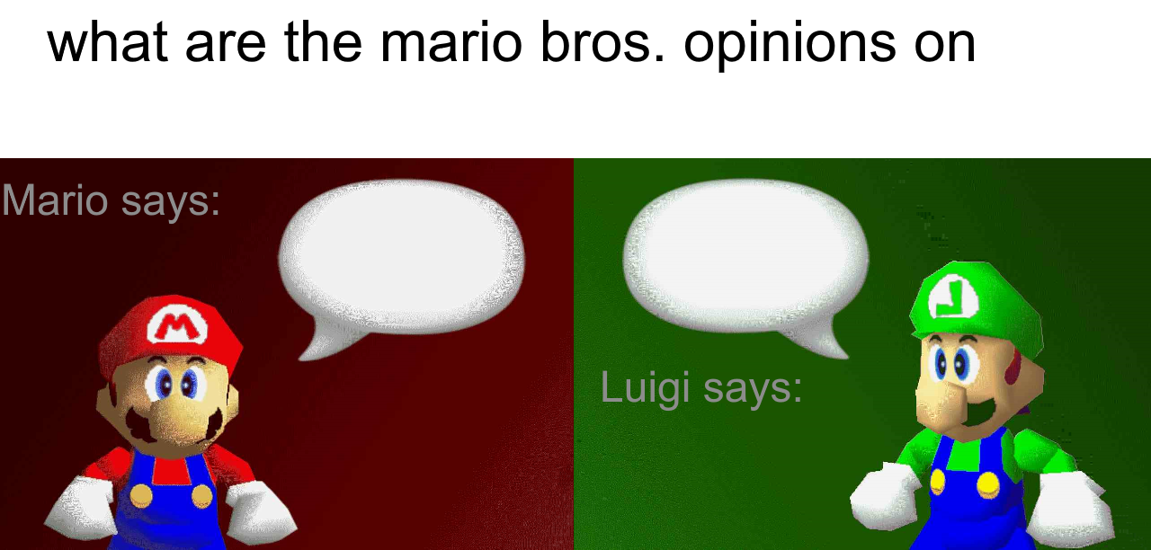 what are the mario bros opinions on (sm64 edition) Blank Meme Template