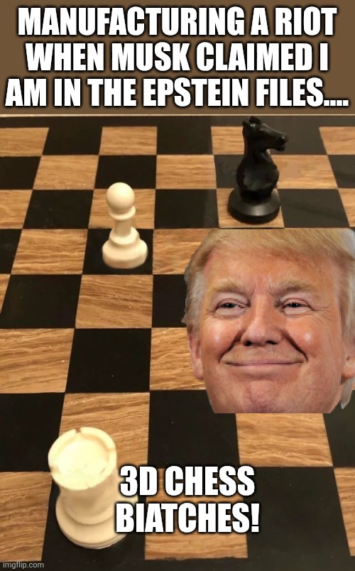 3d chess | MANUFACTURING A RIOT WHEN MUSK CLAIMED I AM IN THE EPSTEIN FILES.... 3D CHESS BIATCHES! | image tagged in donald trump,riots,elon musk,maga,trump,nevertrump | made w/ Imgflip meme maker