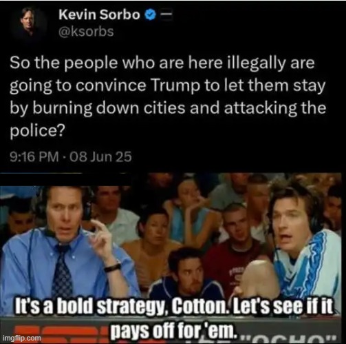 "Normal people" DO NOT SUPPORT MAYHEM, CHAOS & DESTRUCTION | image tagged in retarded liberal protesters,democrats,illegal aliens,open borders,wrong,chaos | made w/ Imgflip meme maker
