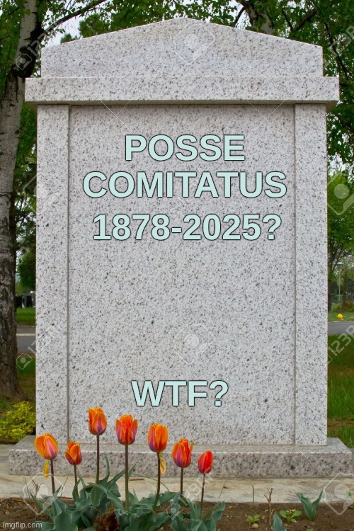 Life is full of surprises....like death | 1878-2025? POSSE COMITATUS; WTF? | image tagged in blank gravestone,possessed,insane clown posse,what if i told you,billy what have you done,what do we want | made w/ Imgflip meme maker