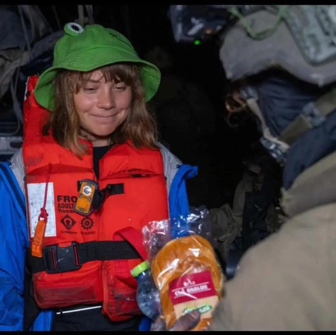 greta happy sandwich Blank Meme Template