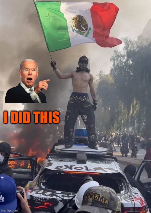 I did this | I DID THIS | image tagged in rioter | made w/ Imgflip meme maker
