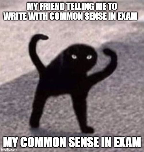 idk | MY FRIEND TELLING ME TO WRITE WITH COMMON SENSE IN EXAM; MY COMMON SENSE IN EXAM | image tagged in idk | made w/ Imgflip meme maker