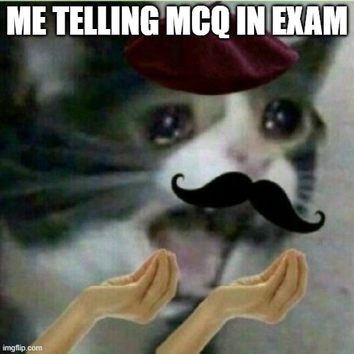 ME TELLING MCQ IN EXAM | image tagged in idk what to put here | made w/ Imgflip meme maker