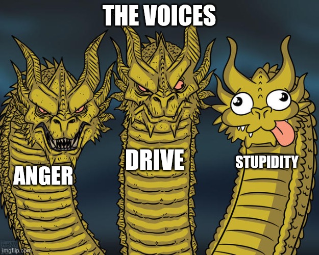 My head at a glance | THE VOICES; DRIVE; STUPIDITY; ANGER | image tagged in three-headed dragon,schizophrenia,voices | made w/ Imgflip meme maker