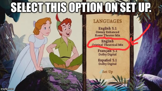 select this option on Set up. | SELECT THIS OPTION ON SET UP. | image tagged in peter pan,dvd,2013,disney | made w/ Imgflip meme maker