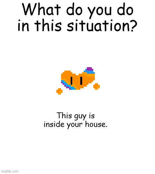 Part 1. Say what you do and I'll roll a D20 to see how you do. | What do you do in this situation? This guy is inside your house. | made w/ Imgflip meme maker