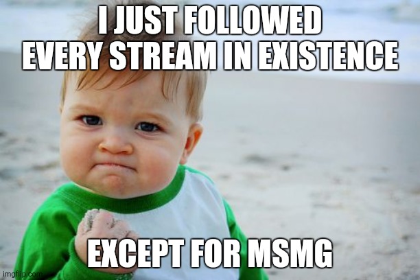 Success Kid Original | I JUST FOLLOWED EVERY STREAM IN EXISTENCE; EXCEPT FOR MSMG | image tagged in memes,success kid original | made w/ Imgflip meme maker