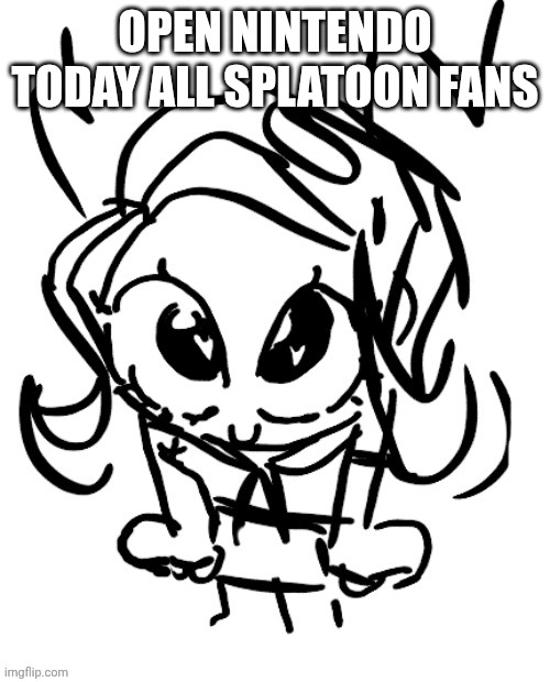 NEW THINGS ARE ANNOYNCED!!! | OPEN NINTENDO TODAY ALL SPLATOON FANS | image tagged in 401 beg | made w/ Imgflip meme maker