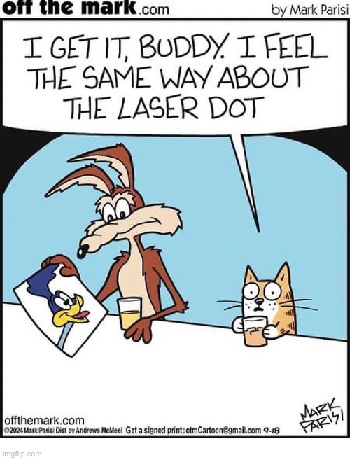 They understand each other… | image tagged in cats,comics,wile e coyote,mutual understanding | made w/ Imgflip meme maker