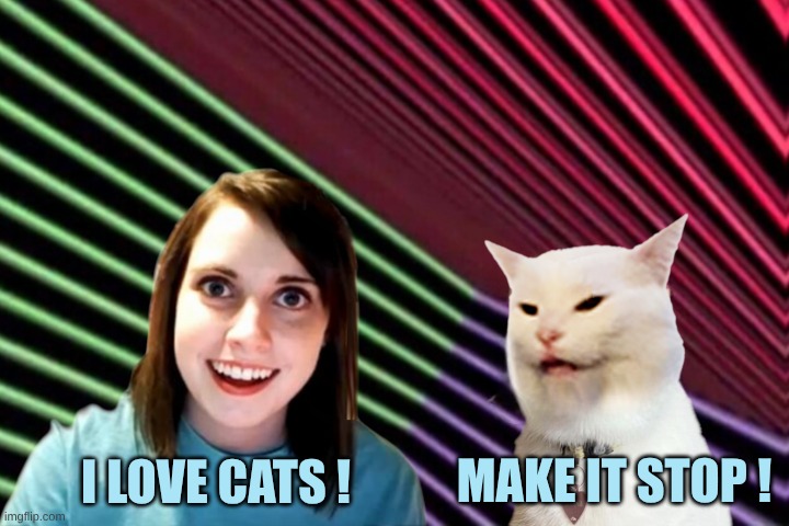 Smudge Loves You | MAKE IT STOP ! I LOVE CATS ! | image tagged in overly attached girlfriend,smudge the cat,i love cats,i love you,make it stop,car memes | made w/ Imgflip meme maker