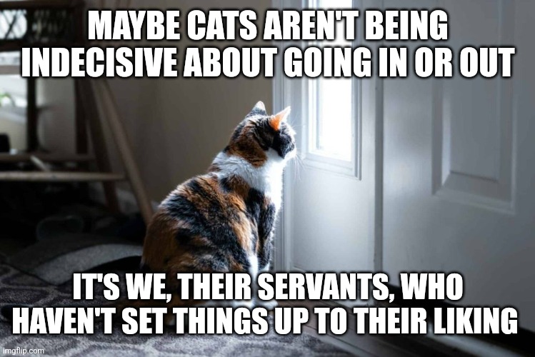 Cat looking out | MAYBE CATS AREN'T BEING INDECISIVE ABOUT GOING IN OR OUT; IT'S WE, THEIR SERVANTS, WHO HAVEN'T SET THINGS UP TO THEIR LIKING | image tagged in cat looking out | made w/ Imgflip meme maker