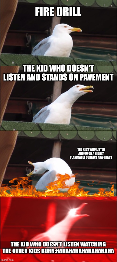 Inhaling Seagull | FIRE DRILL; THE KID WHO DOESN'T LISTEN AND STANDS ON PAVEMENT; THE KIDS WHO LISTEN AND GO ON A HIGHLY FLAMMABLE SURFACE AKA GRASS; THE KID WHO DOESN'T LISTEN WATCHING THE OTHER KIDS BURN:HAHAHAHAHAHAHAHAHA | image tagged in memes,inhaling seagull | made w/ Imgflip meme maker