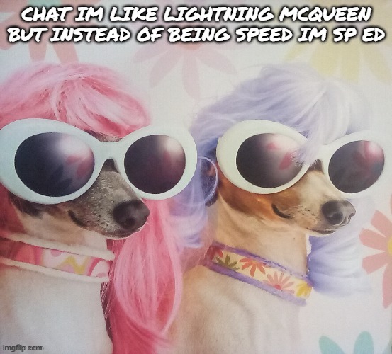 Groovy dawgs | CHAT IM LIKE LIGHTNING MCQUEEN BUT INSTEAD OF BEING SPEED IM SP ED | image tagged in groovy dawgs | made w/ Imgflip meme maker
