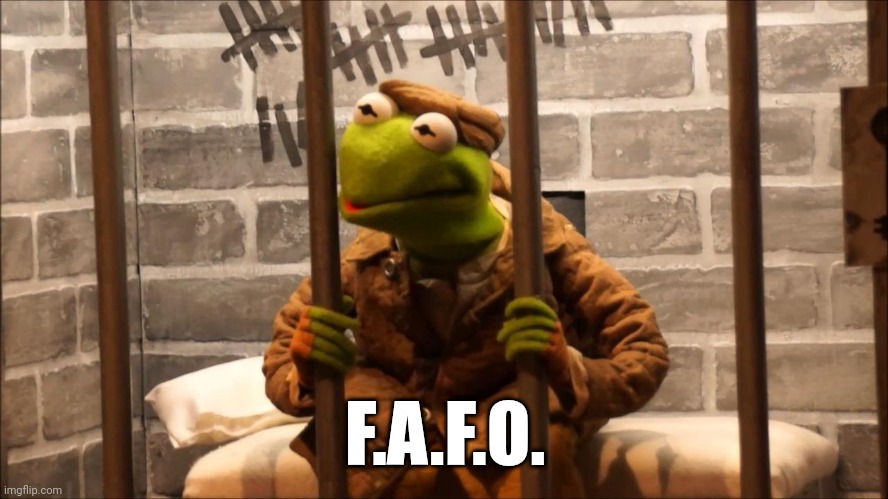 Kermit in jail | F.A.F.O. | image tagged in kermit in jail | made w/ Imgflip meme maker