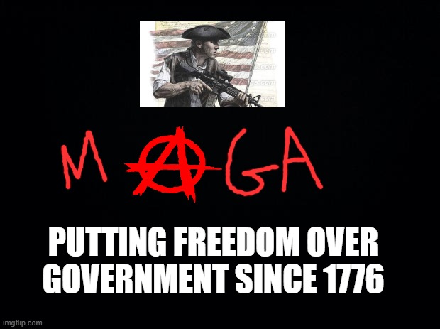 Government bad freedom good | PUTTING FREEDOM OVER GOVERNMENT SINCE 1776 | image tagged in freedom,patriotic,memes | made w/ Imgflip meme maker