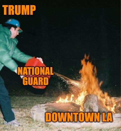 Fight Fire With ICE | TRUMP; NATIONAL GUARD; DOWNTOWN LA | image tagged in national guard,trump v newsom,fanning the flames,fan club,la protests,fire and ice | made w/ Imgflip meme maker