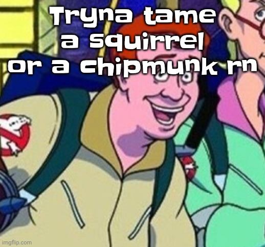 yo Ray you good bro? | Tryna tame a squirrel or a chipmunk rn | image tagged in yo ray you good bro | made w/ Imgflip meme maker