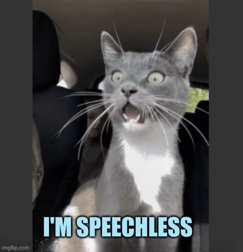 I'M SPEECHLESS | made w/ Imgflip meme maker
