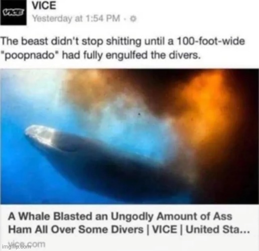 Shiddington whale | made w/ Imgflip meme maker