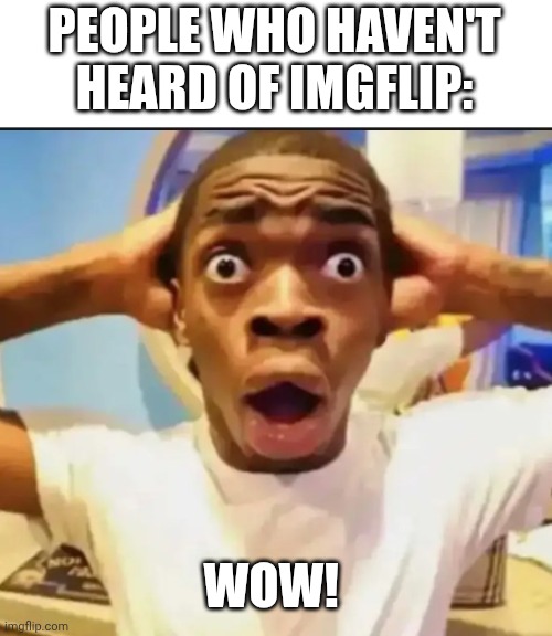 Surprised Black Guy | PEOPLE WHO HAVEN'T HEARD OF IMGFLIP: WOW! | image tagged in surprised black guy | made w/ Imgflip meme maker