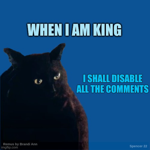 Black King | WHEN I AM KING; I SHALL DISABLE ALL THE COMMENTS | image tagged in contemplate cat,disabled,comments,meanwhile on imgflip,bare bottom spanking,freedom of speech | made w/ Imgflip meme maker