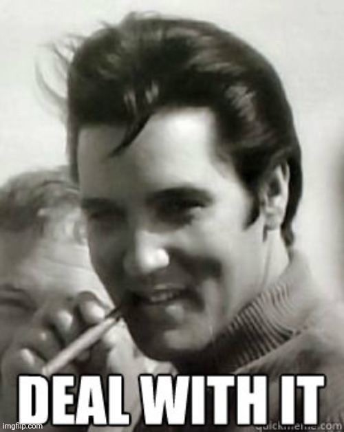 image tagged in deal with it | made w/ Imgflip meme maker