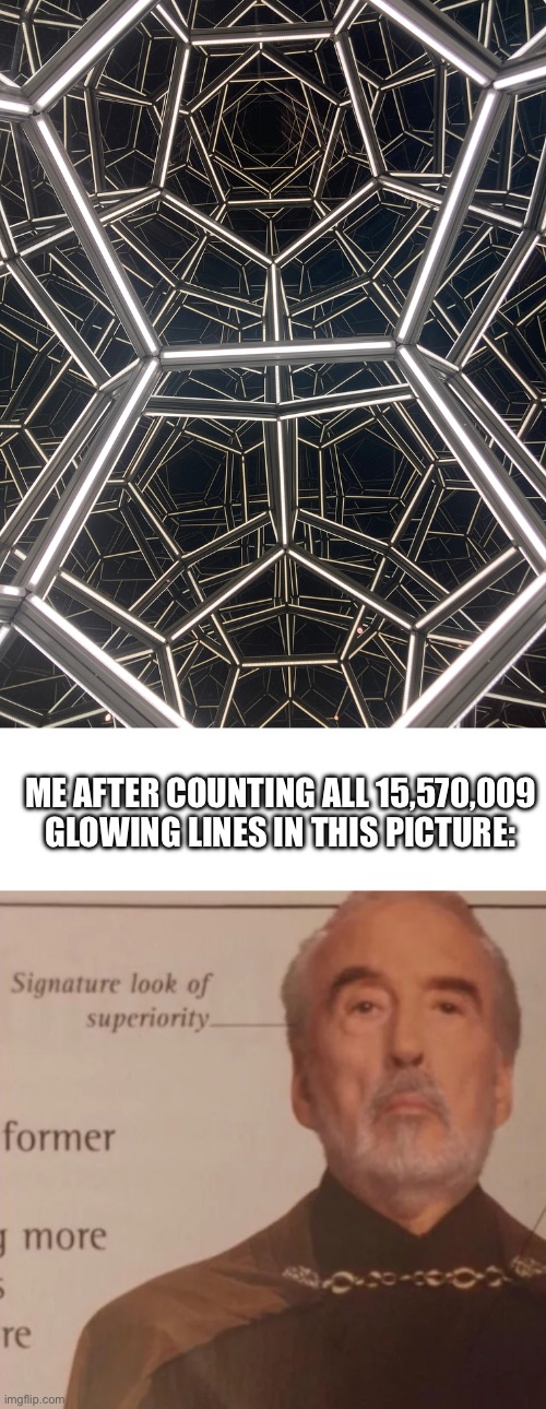 (I didn’t really count them) | ME AFTER COUNTING ALL 15,570,009 GLOWING LINES IN THIS PICTURE: | image tagged in signature look of superiority | made w/ Imgflip meme maker