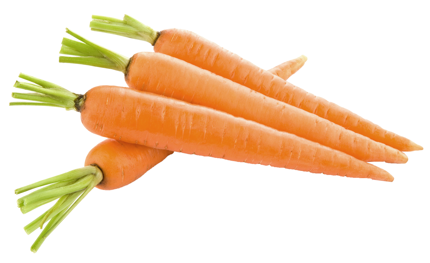 Four Carrots Blank Meme Template