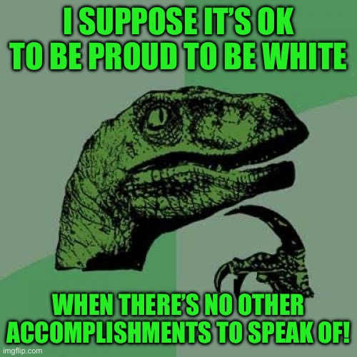 Philosoraptor Meme | I SUPPOSE IT’S OK TO BE PROUD TO BE WHITE; WHEN THERE’S NO OTHER ACCOMPLISHMENTS TO SPEAK OF! | image tagged in memes,philosoraptor | made w/ Imgflip meme maker