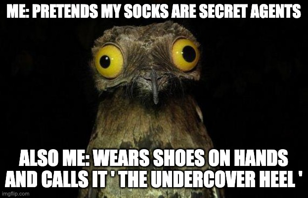 weird bird | ME: PRETENDS MY SOCKS ARE SECRET AGENTS; ALSO ME: WEARS SHOES ON HANDS AND CALLS IT ' THE UNDERCOVER HEEL ' | image tagged in memes,weird stuff i do potoo | made w/ Imgflip meme maker